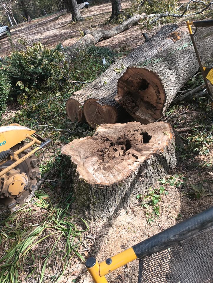 stump removal/grinding job