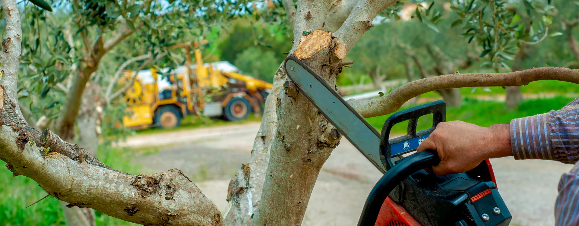 Four Rivers Stump Grinding Hero 1