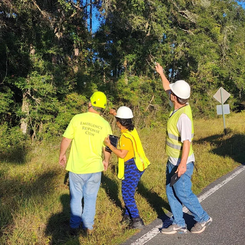 Four Rivers Stump Grinding about us image