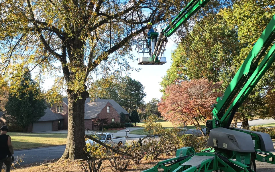 Four Rivers Stump Grinding image 1